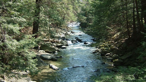 Best Spring & Summer Camping Spots in New York State – Book Now for Family Adventures