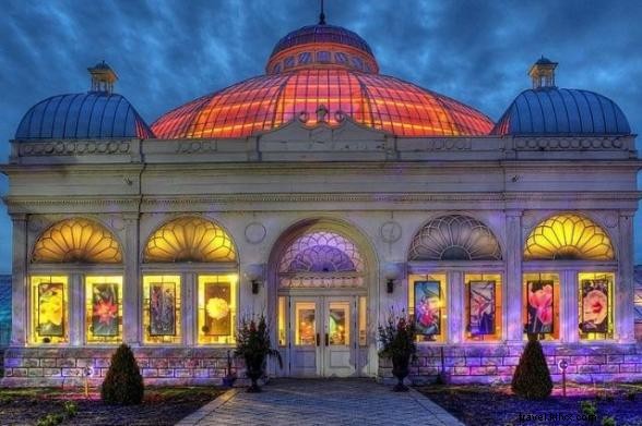 11 Expert-Led Online Classes & Workshops in New York State