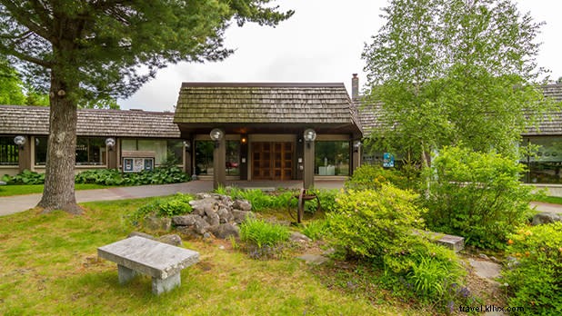 11 Expert-Led Online Classes & Workshops in New York State