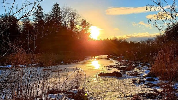 Top 11 Easy Winter Walks in New York State: Scenic Trails for All Levels