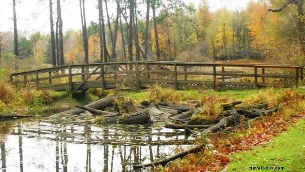 Top 11 Easy Winter Walks in New York State: Scenic Trails for All Levels