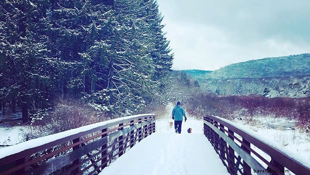 Top 11 Easy Winter Walks in New York State: Scenic Trails for All Levels