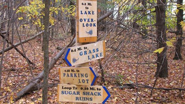 Top 11 Easy Winter Walks in New York State: Scenic Trails for All Levels