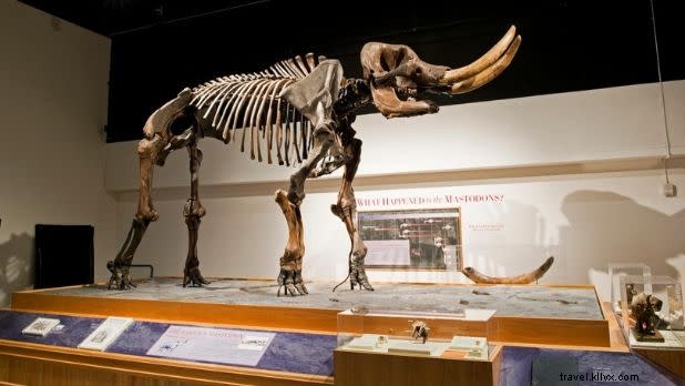 Explore New York State s Museums Virtually: Top Tours from Home