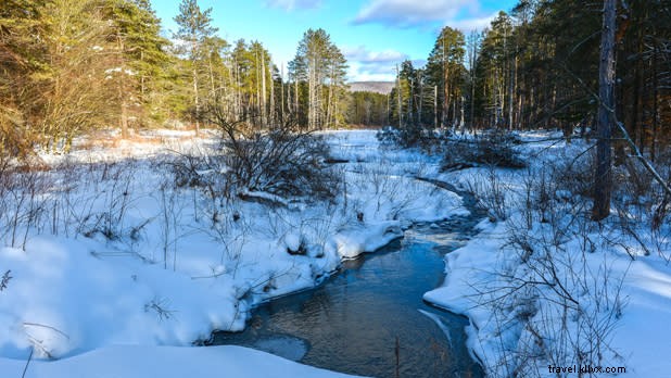 11 Stunning New York Winter Scenes Perfect for Video Conference Backgrounds