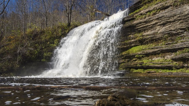 11 Stunning New York Winter Scenes Perfect for Video Conference Backgrounds