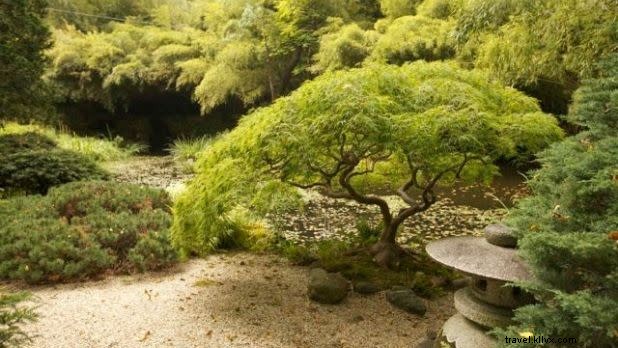 Discover the World Without Leaving New York State: Epic Global Getaways at Home