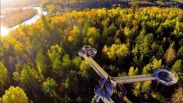 Top DIY Field Trips for Kids in New York State: Explore Nature, History & More