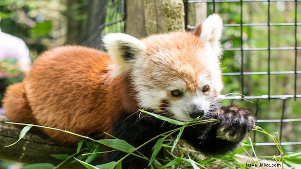 Top DIY Field Trips for Kids in New York State: Explore Nature, History & More