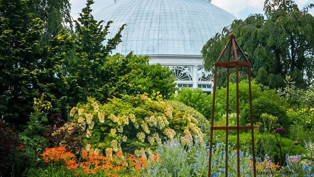 Discover the Bronx in 48 Hours: Yankee Stadium, Hip-Hop Birthplace & Bronx Zoo