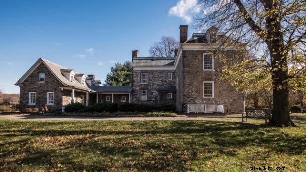 Discover the Bronx in 48 Hours: Yankee Stadium, Hip-Hop Birthplace & Bronx Zoo