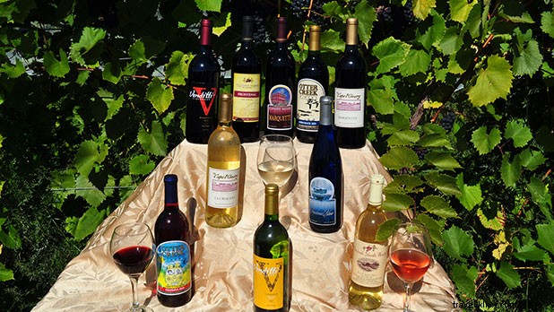 Best Spots for Fall Foliage Views and Craft Drinks