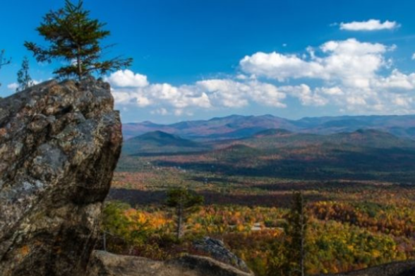 Meet the Official I LOVE NY Fall Foliage Leaf Peepers Team