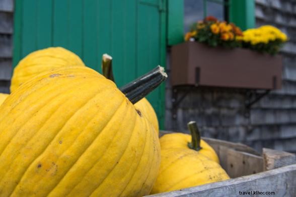 10 Enchanting Reasons to Rediscover New York This Fall