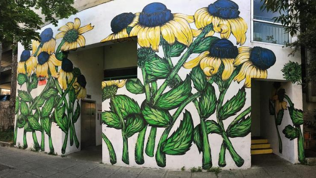 Must-See Street Art in New York State: Iconic Murals, Mosaics & More