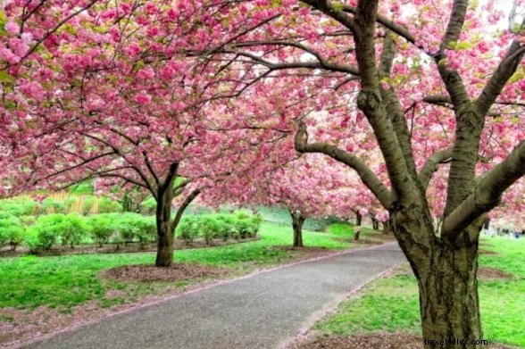 15 Top New York Attractions with Programs for Blind & Low-Vision Visitors