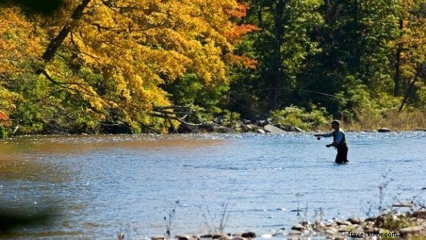 Discover 11 Must-Read Books Set in New York State: Classics & Hidden Gems