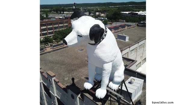 Discover 11 Must-See Roadside Attractions in New York State