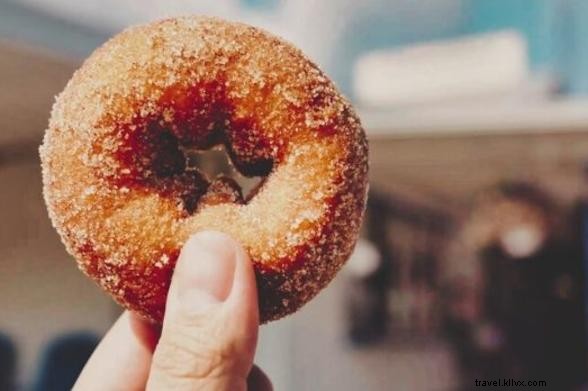 Easy Homemade Apple Cider Donuts: Authentic Hudson Valley Recipe