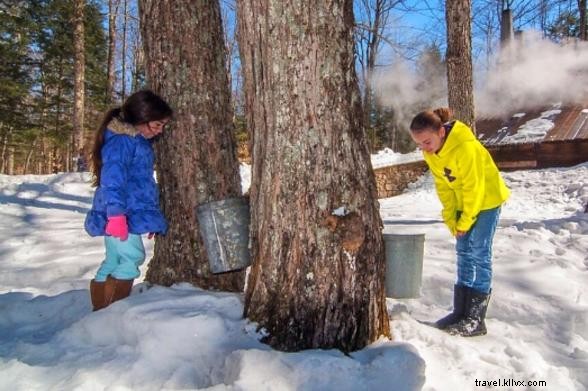 Discover the Best Things to Do in New York State This March