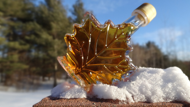 Discover the Best Things to Do in New York State This March