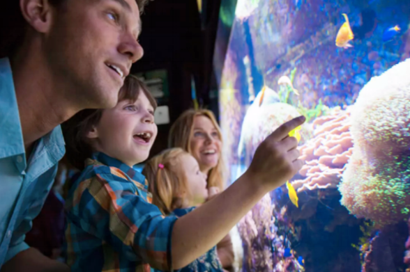 Top Last-Minute Spring Break Getaways in New York for Families