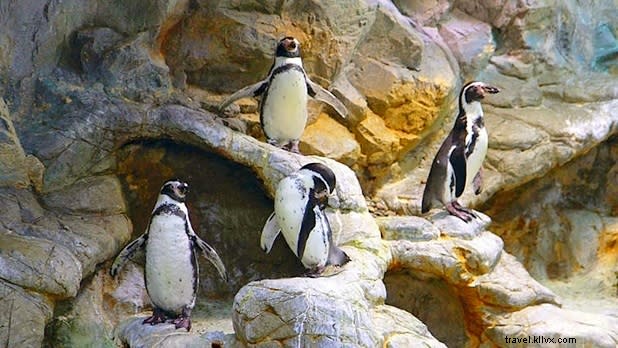 Top Last-Minute Spring Break Getaways in New York for Families