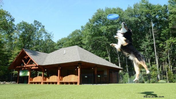 Top Pet-Friendly Getaways in New York State: Vacation with Your Furry Friend