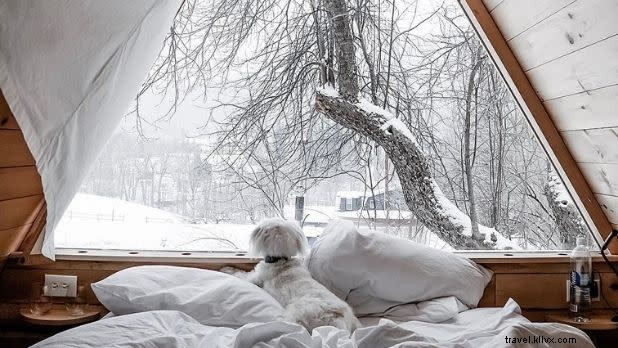 Top Pet-Friendly Getaways in New York State: Vacation with Your Furry Friend