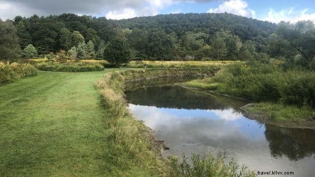 Top Pet-Friendly Getaways in New York State: Vacation with Your Furry Friend