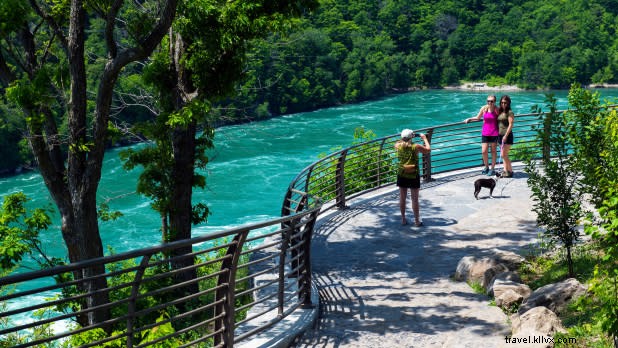 Top Pet-Friendly Getaways in New York State: Vacation with Your Furry Friend