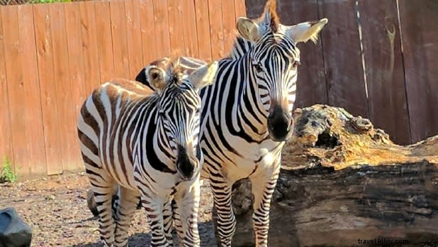 Discover Hidden Family-Friendly Gems in New York State