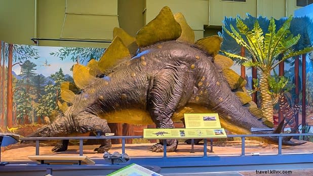 Discover Hidden Family-Friendly Gems in New York State