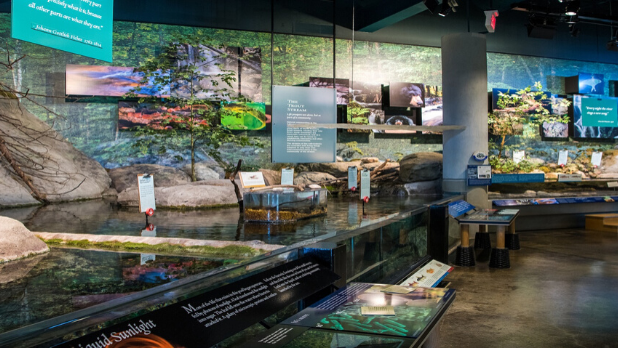 Best Family-Friendly Indoor Activities in New York State: Fun for All Ages