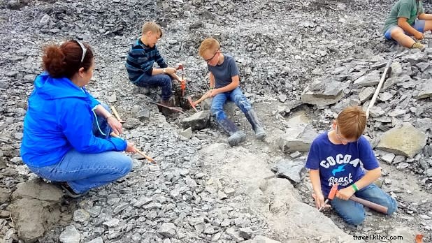 Top 11 Kid-Friendly Activities in Buffalo, NY: Family Fun Guide