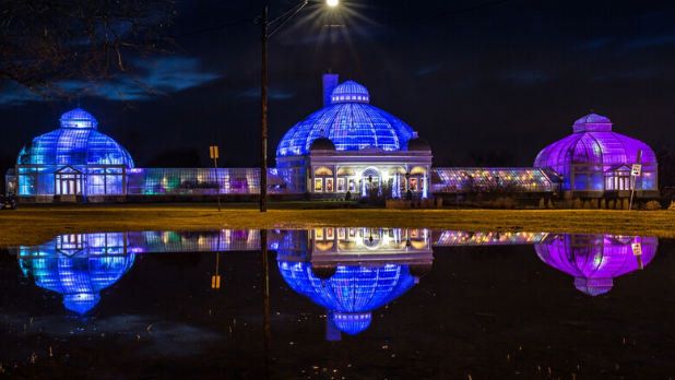 Discover the Best Things to Do in New York State This February