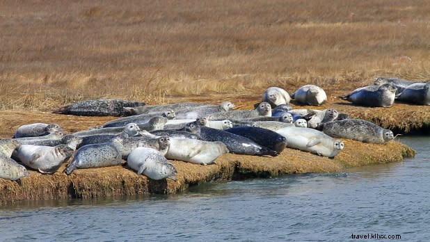 Discover Extraordinary Winter Experiences in New York State