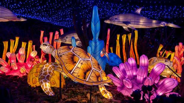 Ultimate Guide: Top Things to Do in New York State This December