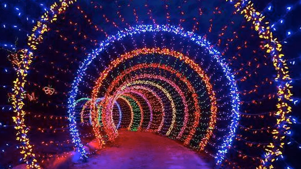 Best Places to See Spectacular Holiday Lights in New York This Season