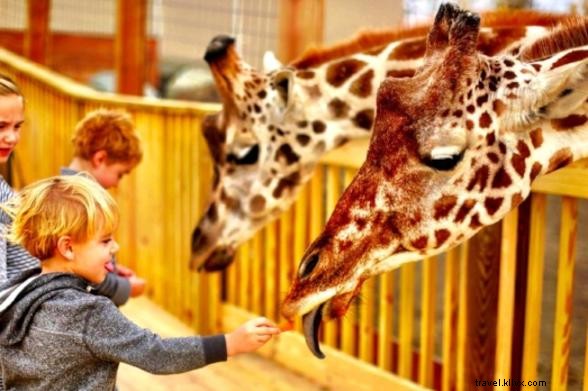 Ultimate 48-Hour Itinerary: Explore Binghamton, NY s Spiedies, Innovation & Carousels