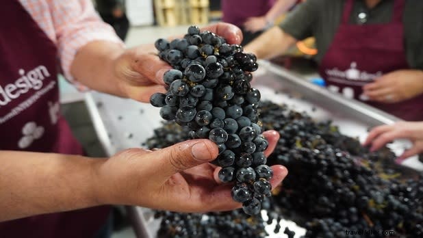 Discover 12 Top DIY Experiences in New York State