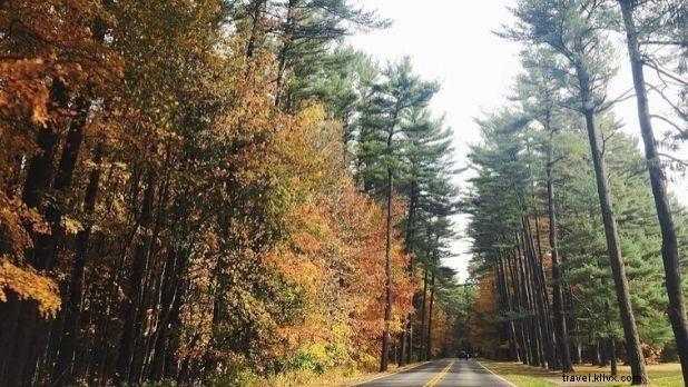 Best Thanksgiving Dinner Spots in New York State: Top Restaurants