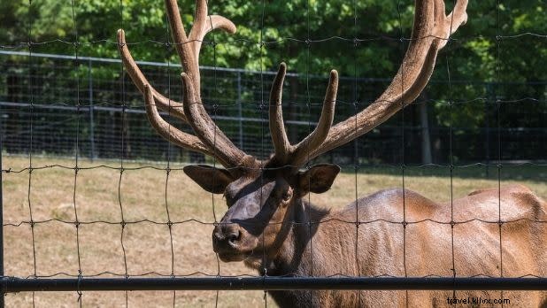 11 Best Winter Getaways in New York: Start Planning Your Escape Today