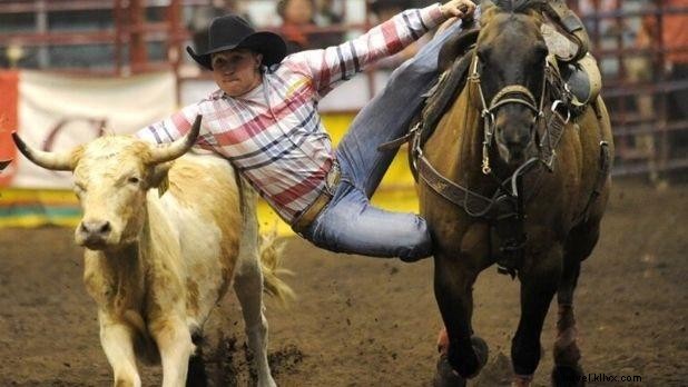 Top Things to Do in New York State This November: Festivals, Rodeos & Holiday Fun