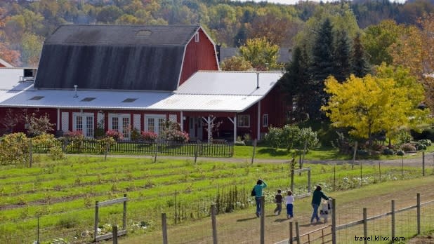Top 11 Apple Picking Orchards in New York State