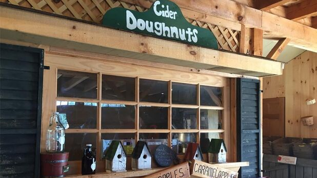 Top 11 Apple Picking Orchards in New York State