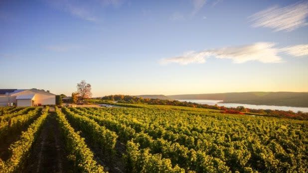 Ultimate Guide: Best Things to Do in New York in October