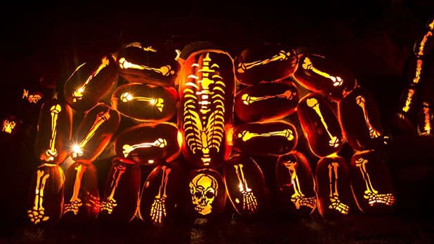 Ultimate Guide: Best Things to Do in New York in October