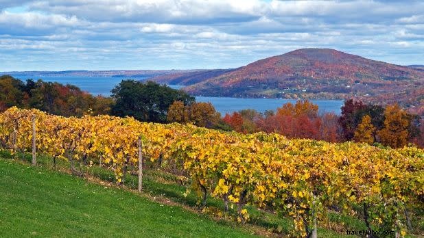 Scenic Autumn Road Trips: Vibrant Fall Foliage Weekend Escapes in New York