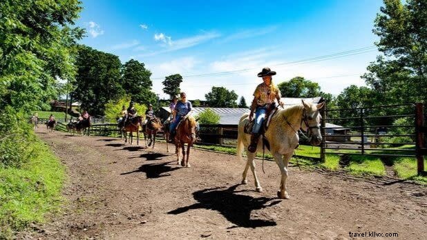 Epic Adventures Await: Discover New York State s Wild Outdoors